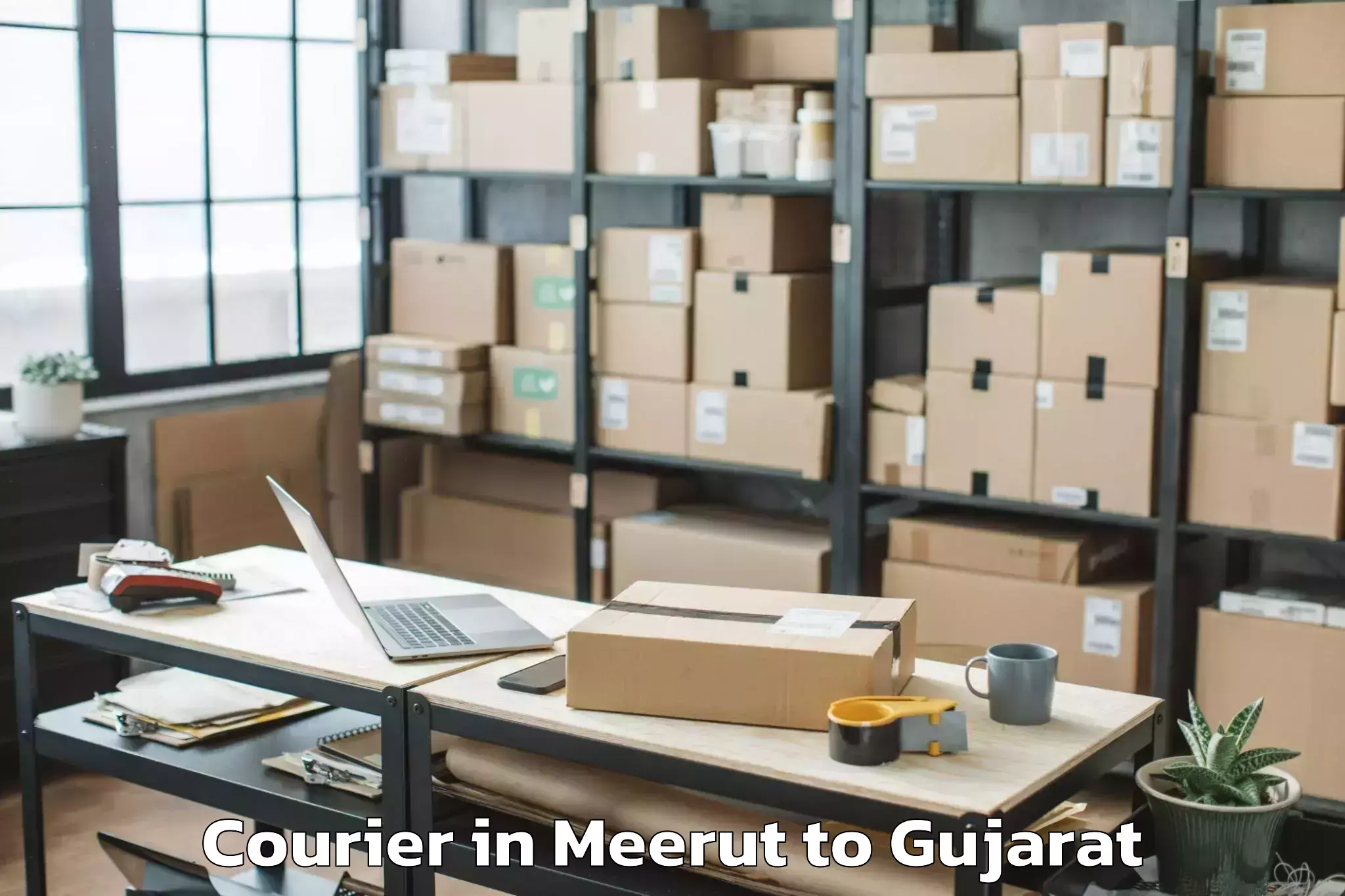 Leading Meerut to Vadpada Courier Provider